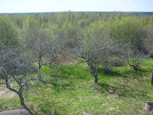 base - Haukivuori Finland - young art - Europe's largest sculpture park Saksalan Harju Saksala Ridge Europe's largest monolith